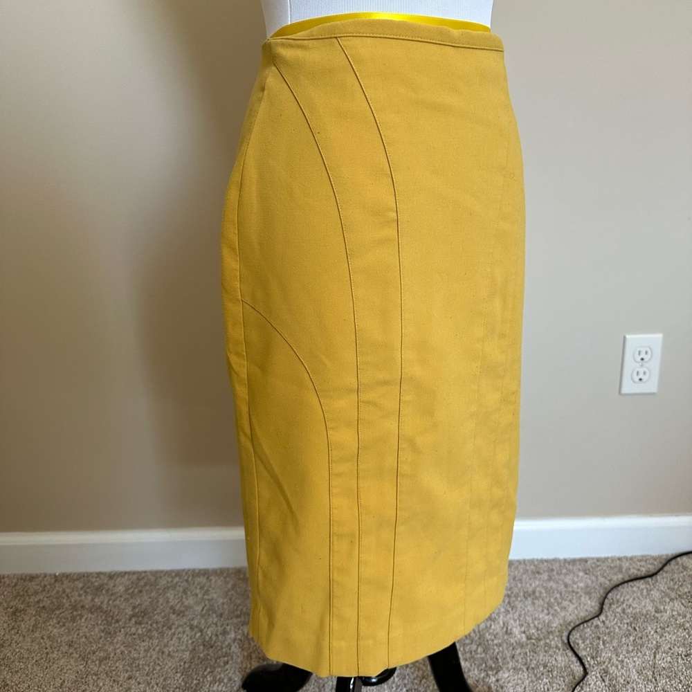 Banana Republic Skirt
